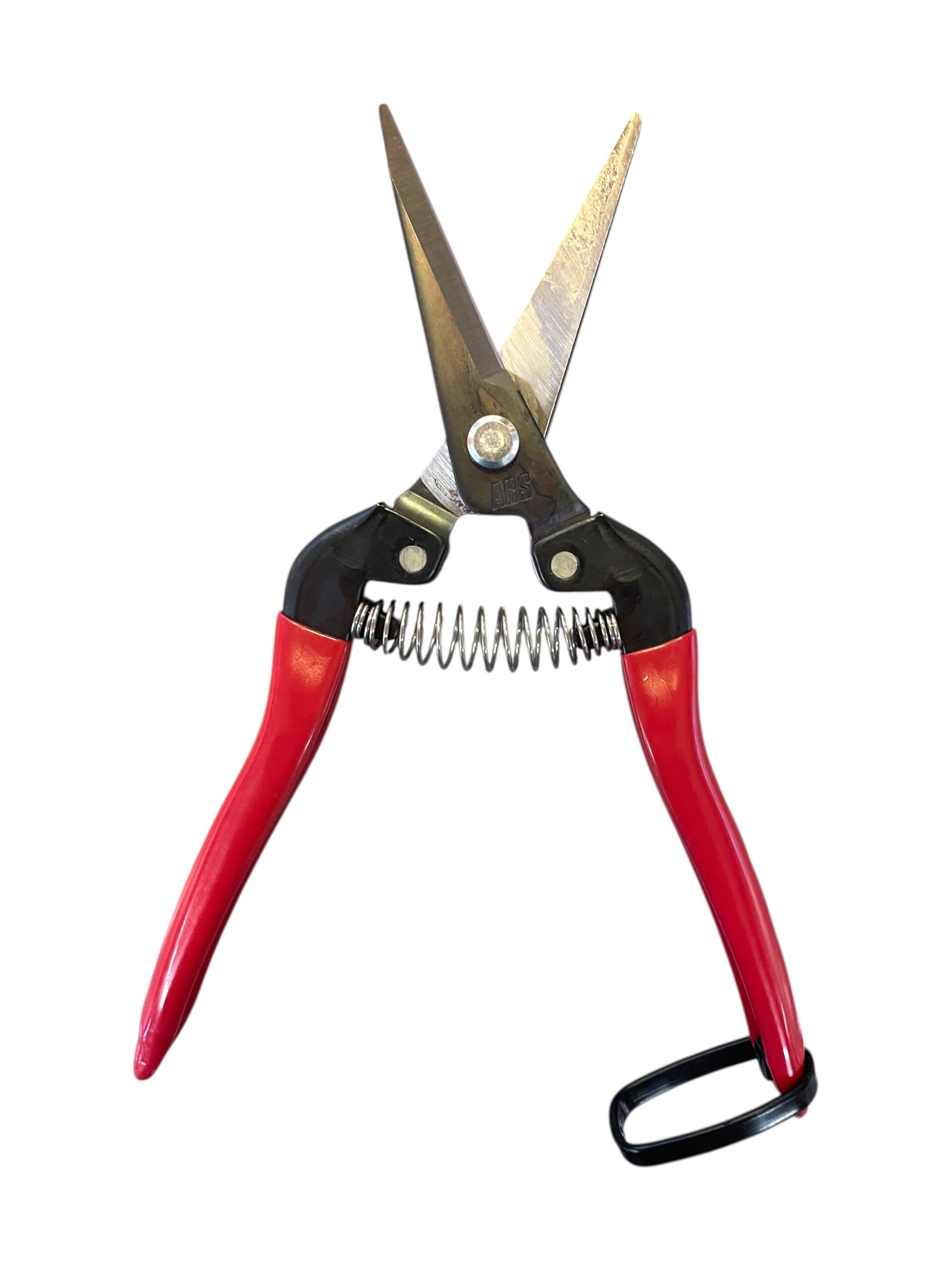 Abbildung ähnlich - Traubenschere - Lesescheren - Der Weinbaukasten GmbH