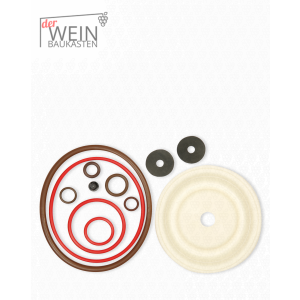 Dichtungssatz Viton / für Solo 473D Classic & 475
